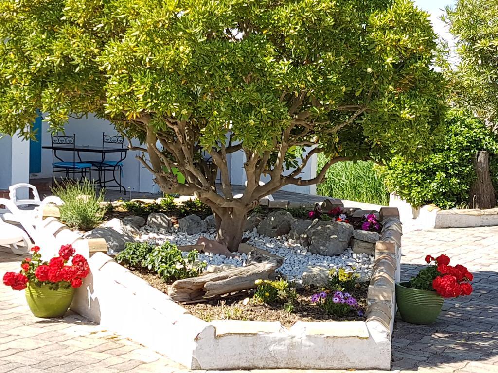 L'Auberge Camarguaise Сент-Марі-де-ла-Мер Екстер'єр фото